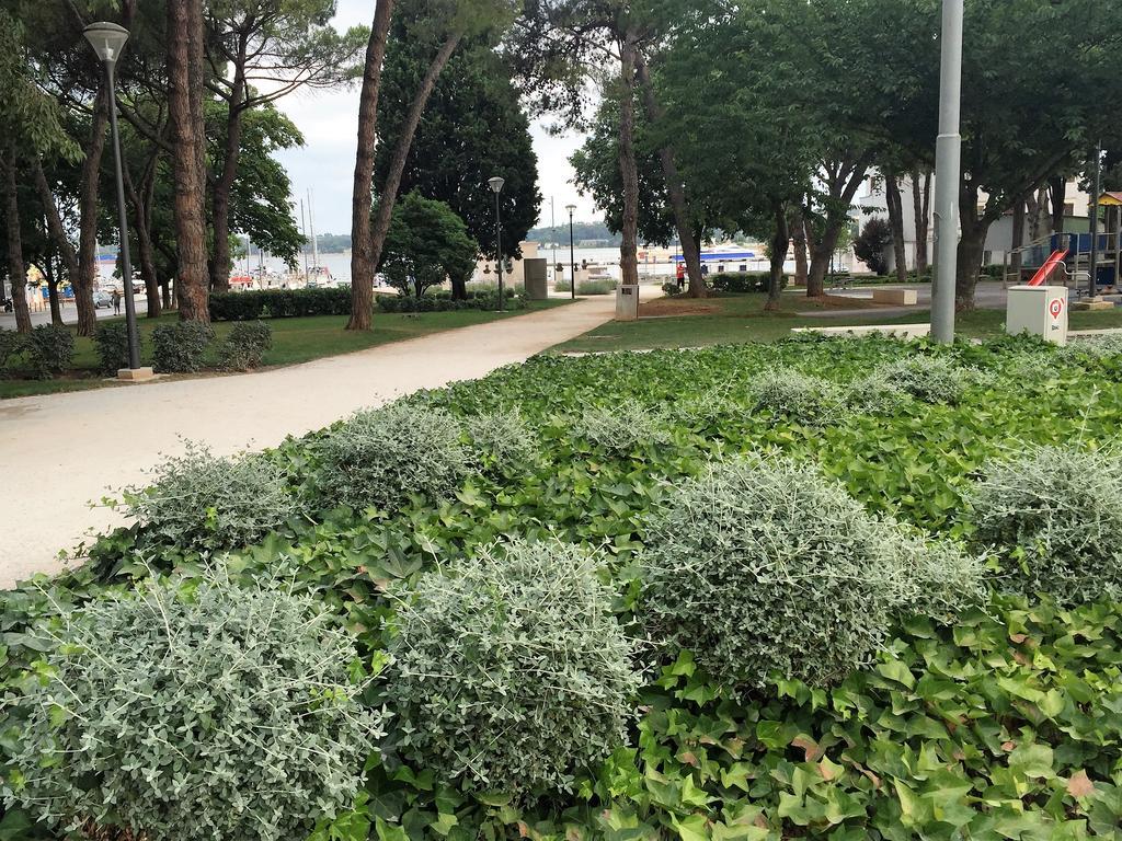 普拉竞技场中心公寓 外观 照片